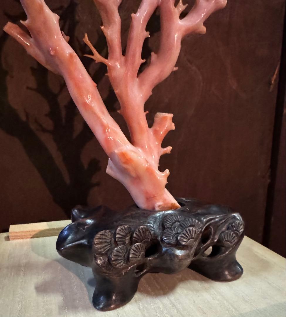 ピンクサンゴの置物 台座付 ピンク珊瑚 桃珊瑚 原木