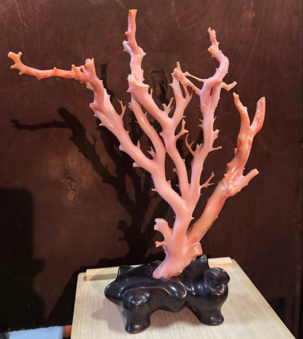 ピンクサンゴの置物 台座付 ピンク珊瑚 桃珊瑚 原木