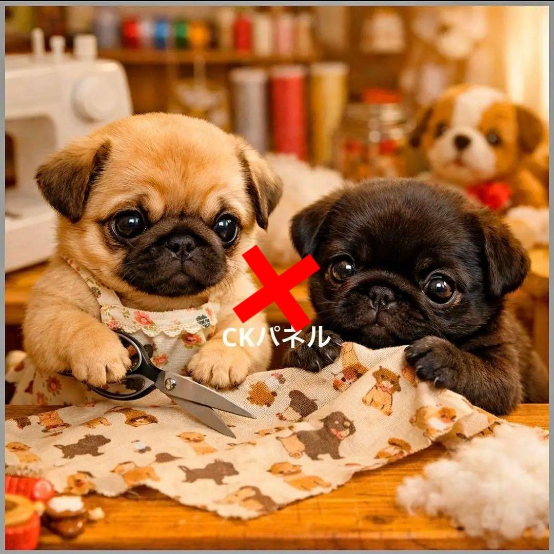 激レアポメラニアン、マルチーズ、チワワ、パグ、トイプー、柴犬パネル