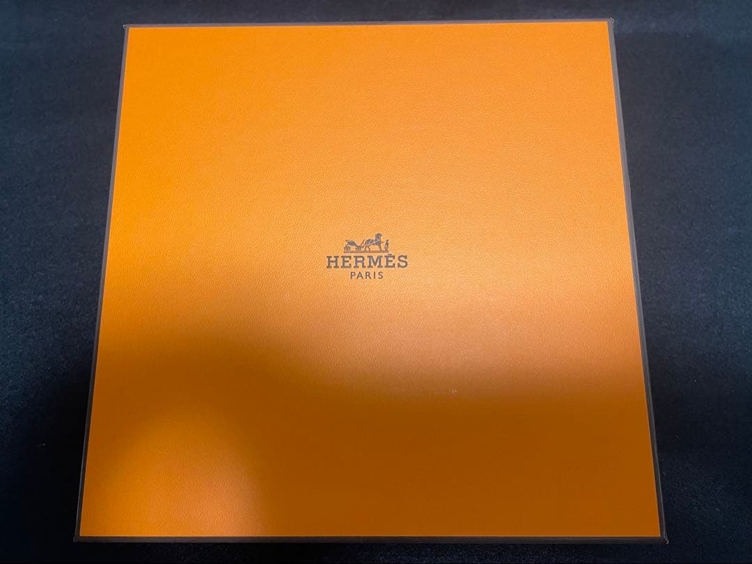 【未使用品】エルメス ブルーダイユール パンプレート 2枚セット 16cm