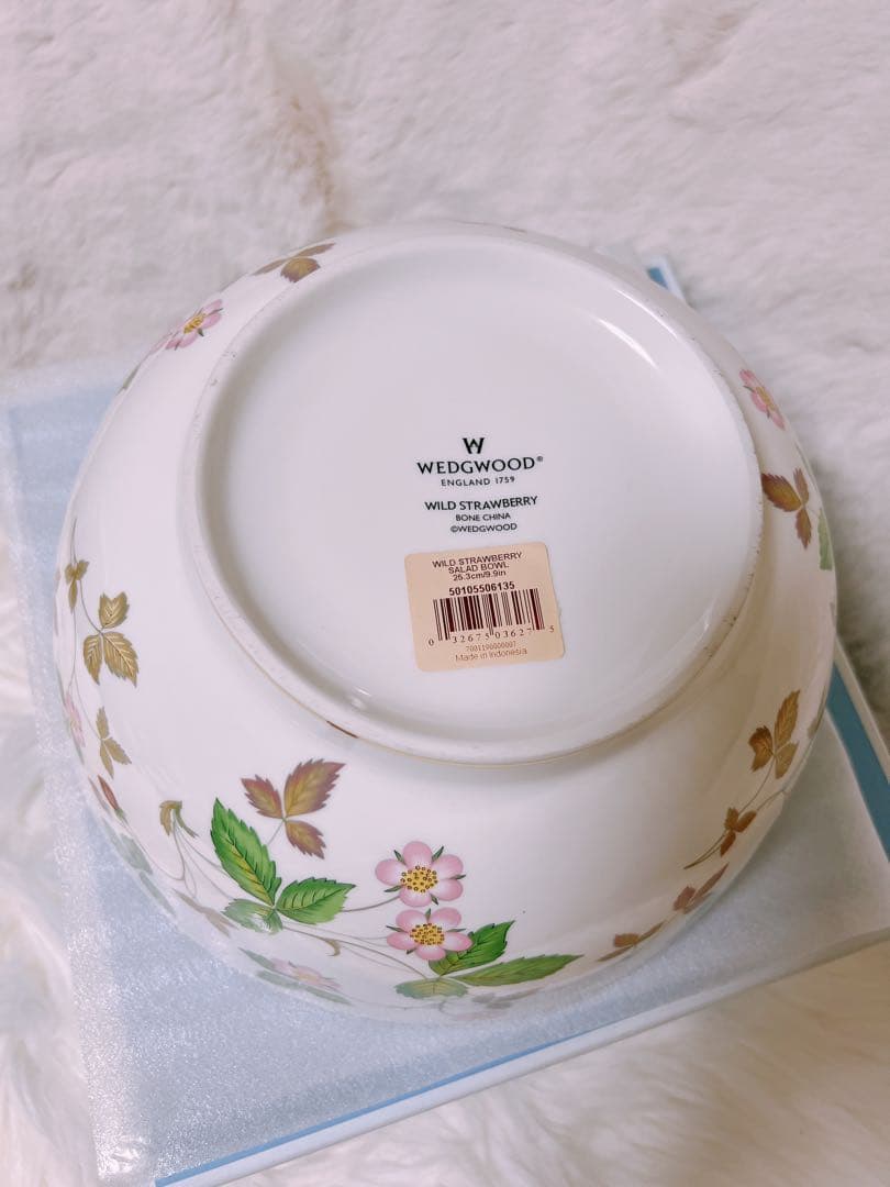  ワイルドストロベリー　サラダボウル