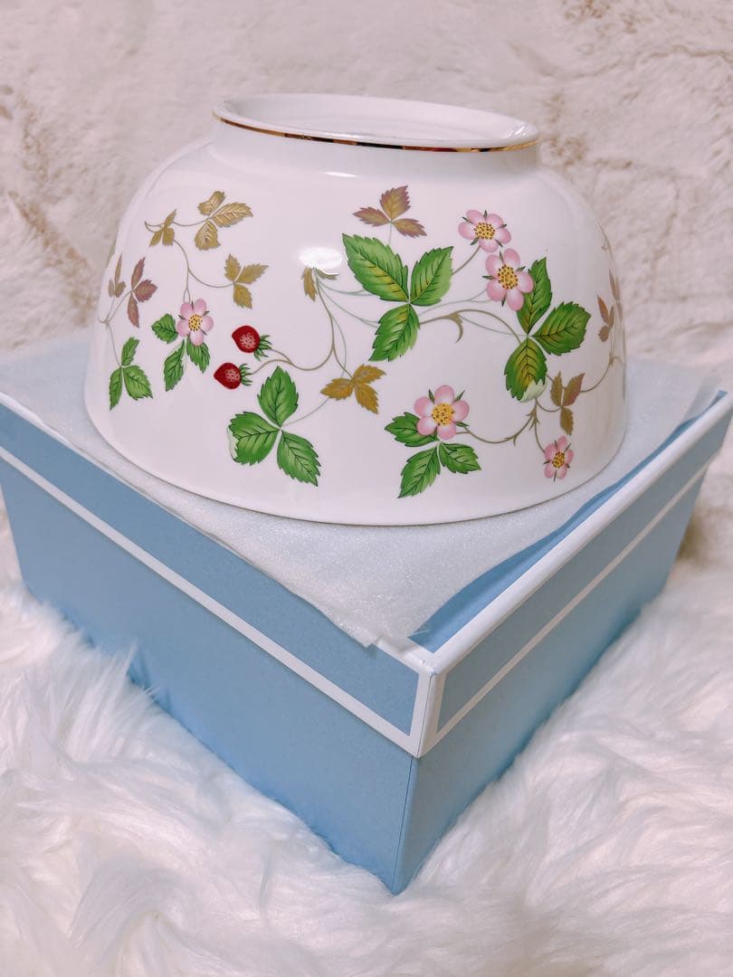  ワイルドストロベリー　サラダボウル