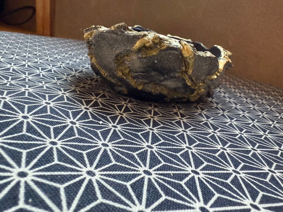 手びねり鉢 黒と金色のアクセント 約15cm 割れにくい鉢 作家鉢