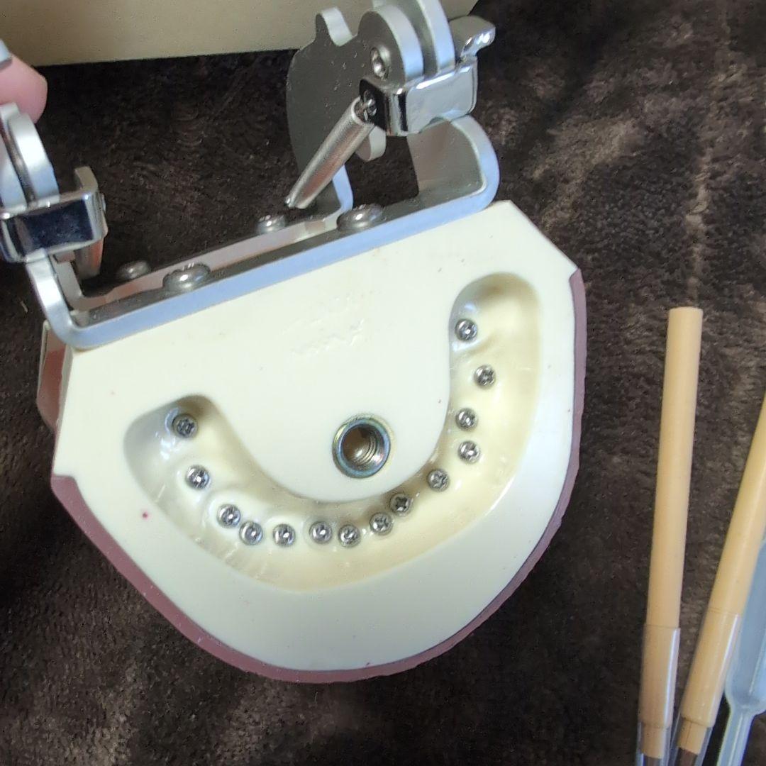 さがしもの NISSIN 歯科模型　顎模型 DENTAL