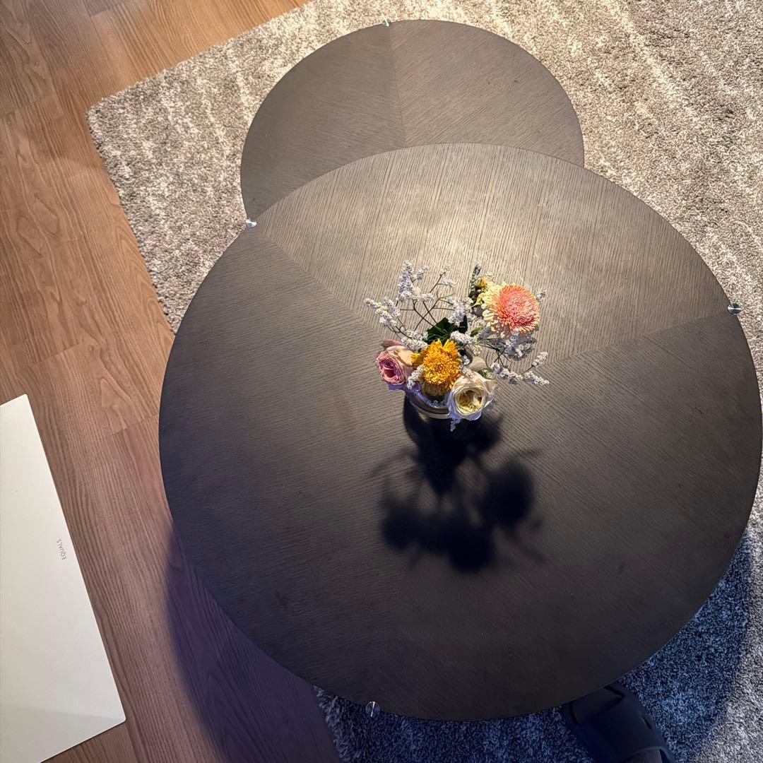 アルフレックス 二段式センターテーブル　Arflex