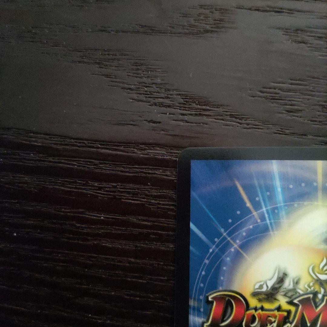 ラブエクスパンション　シク　1枚