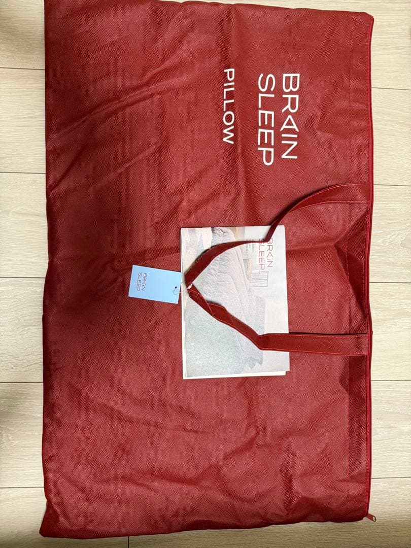 BRAIN SLEEP ピロー スターターガイド付き