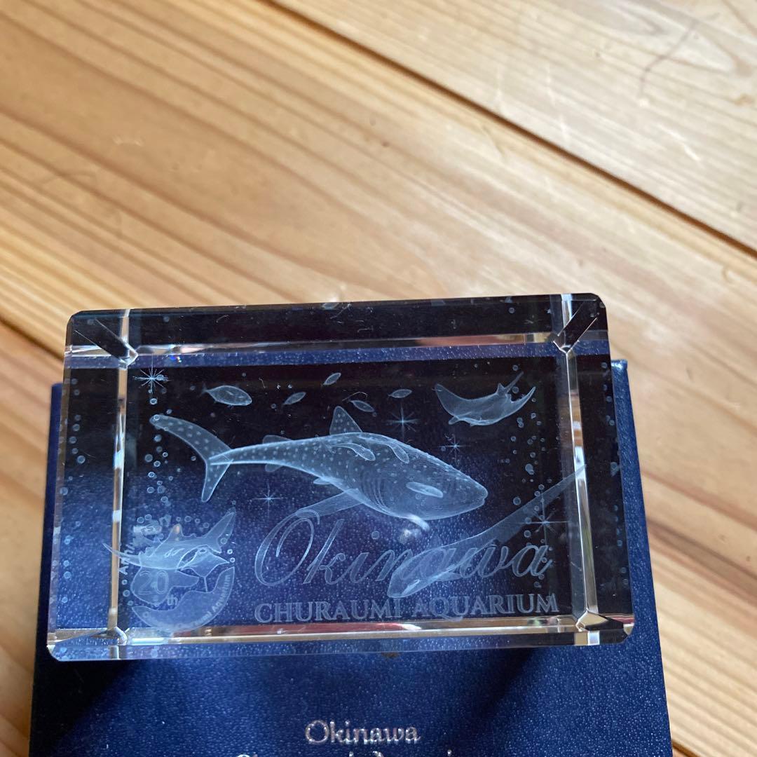 3DL   黒潮の海　20th   Anniv