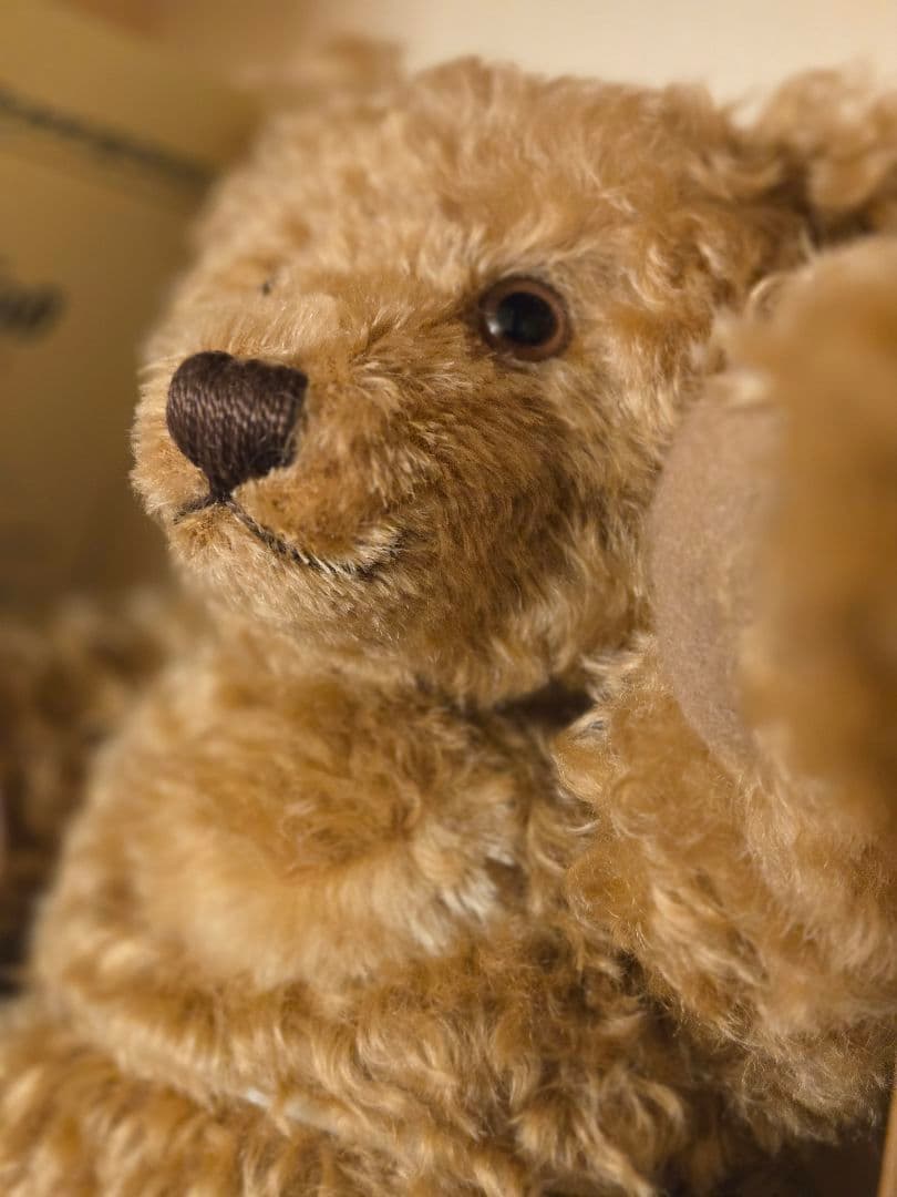 ✨セール最終価格✨【希少】シュタイフテディベア✴ハリウッド・ベア