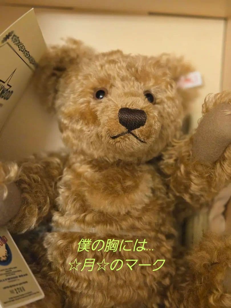 ✨セール最終価格✨【希少】シュタイフテディベア✴ハリウッド・ベア