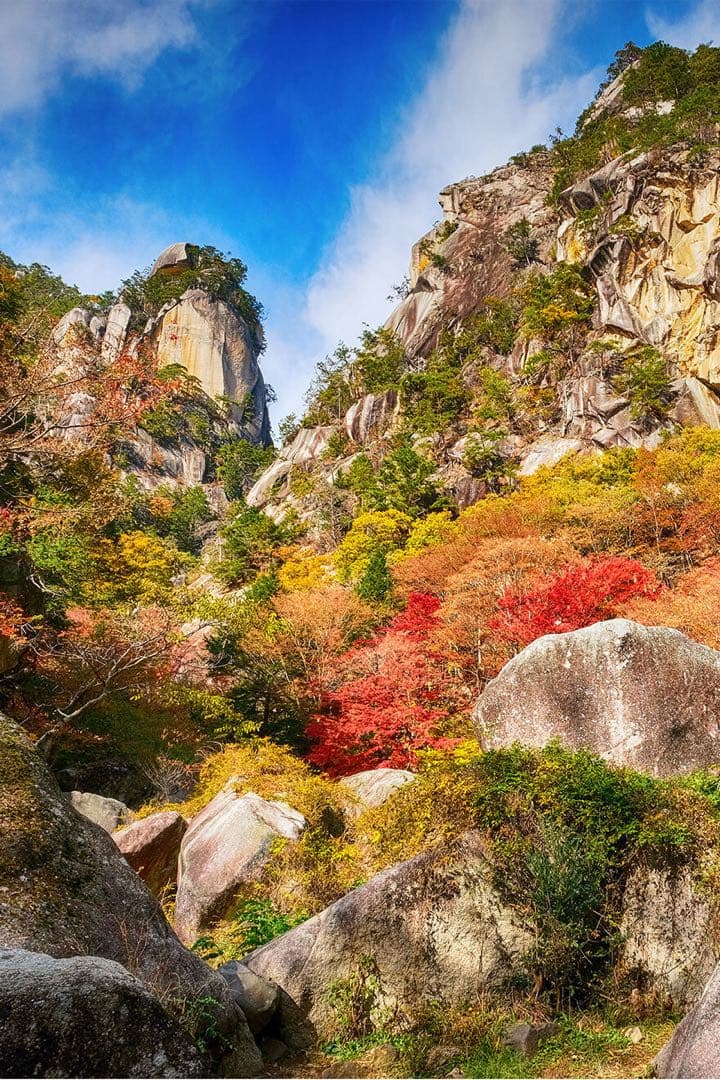 究極品質　現代に蘇った伝説の国産水晶　幻の山梨乙女鉱山産ルチルクォーツPT