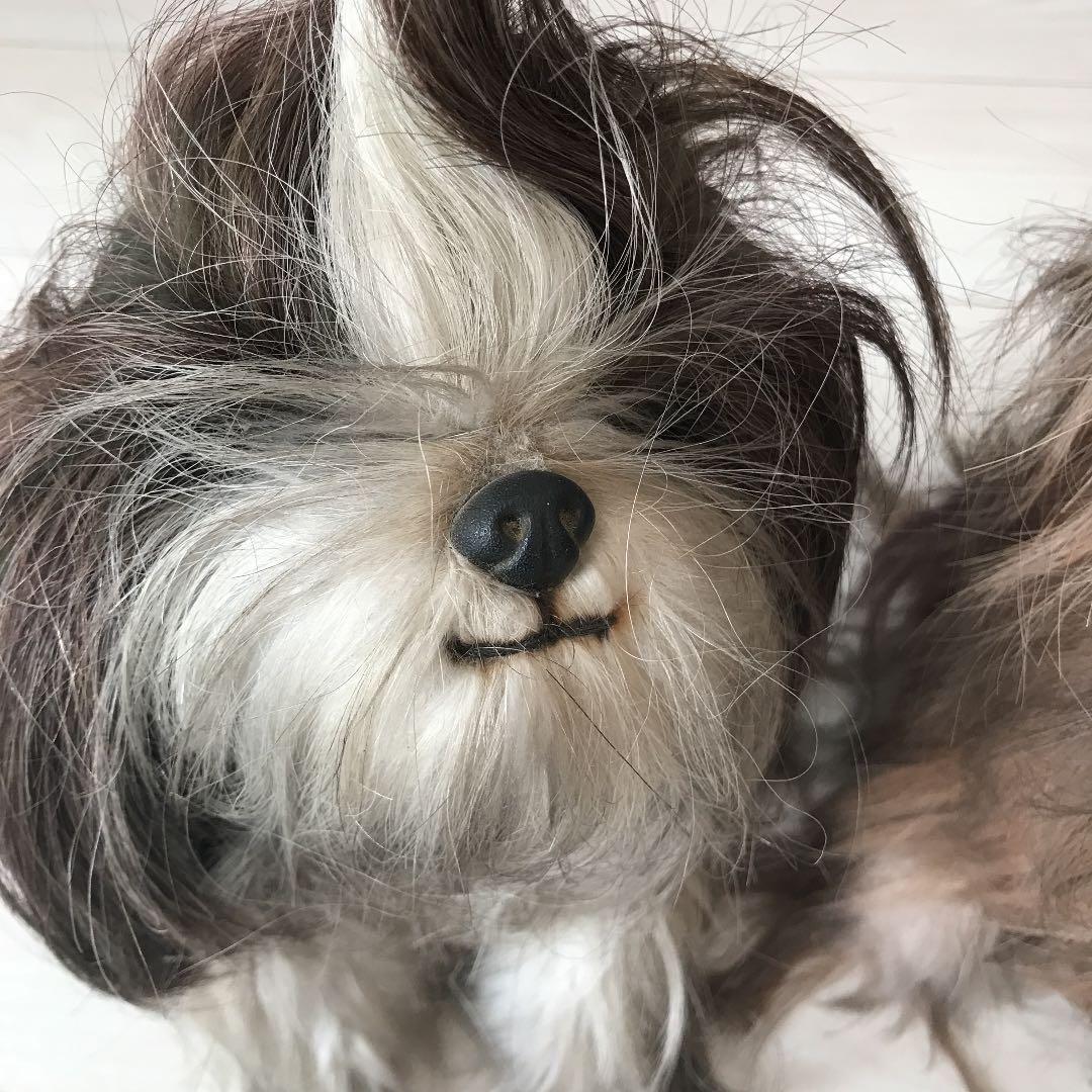 シーズー犬　置き物