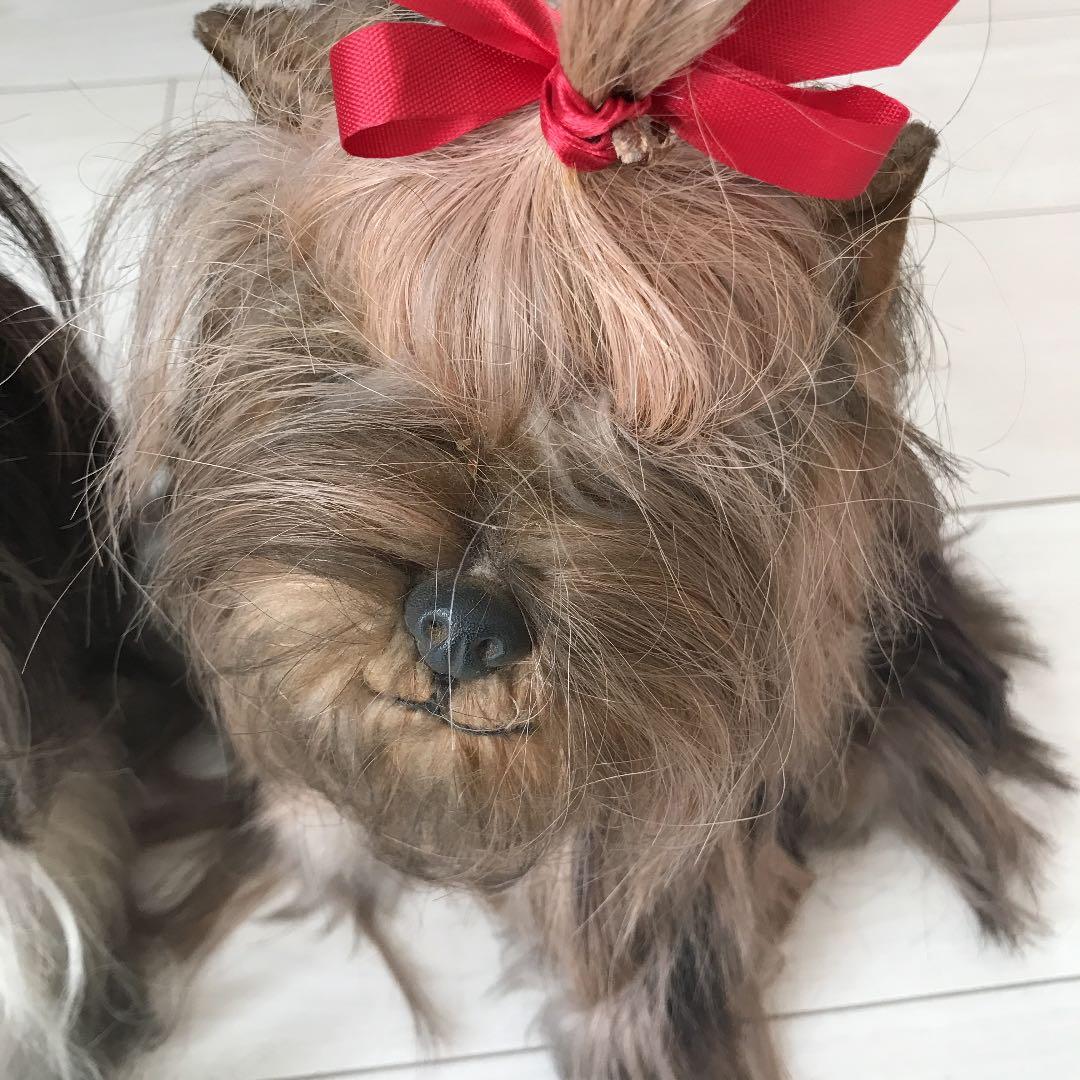 シーズー犬　置き物