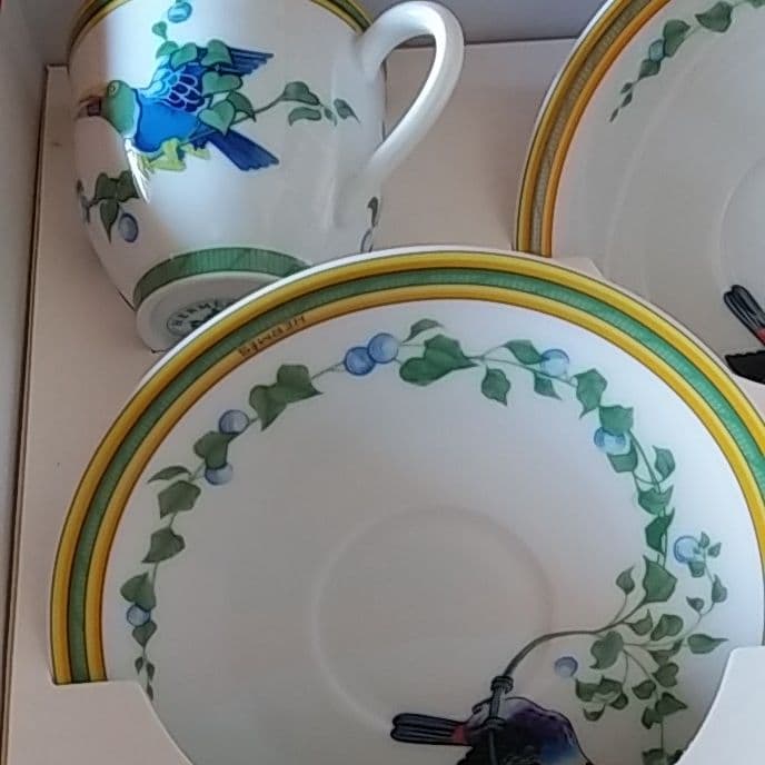 HERMES エルメス　トゥカン　オオハシ　カップ＆ソーサー２客