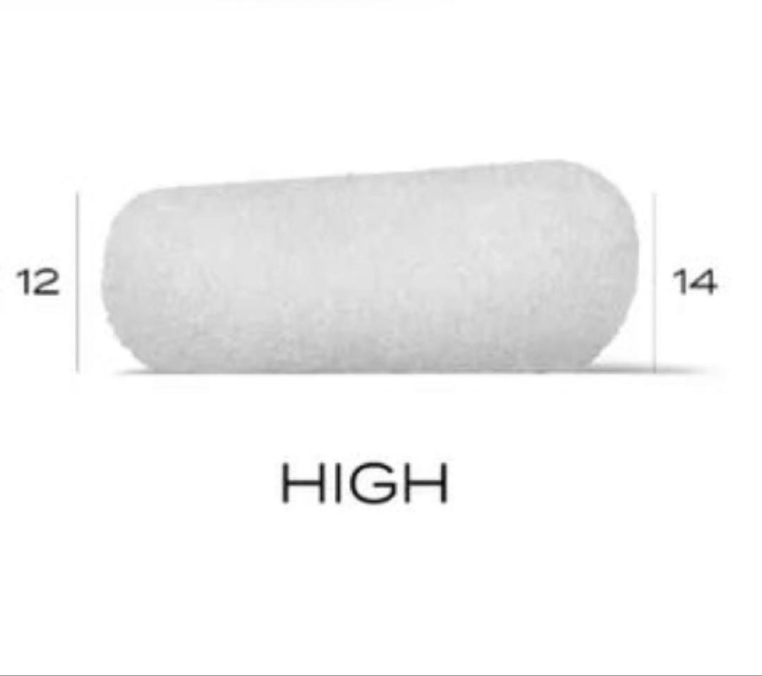 ブレインスリープピロー HIGH 未使用カバー付き