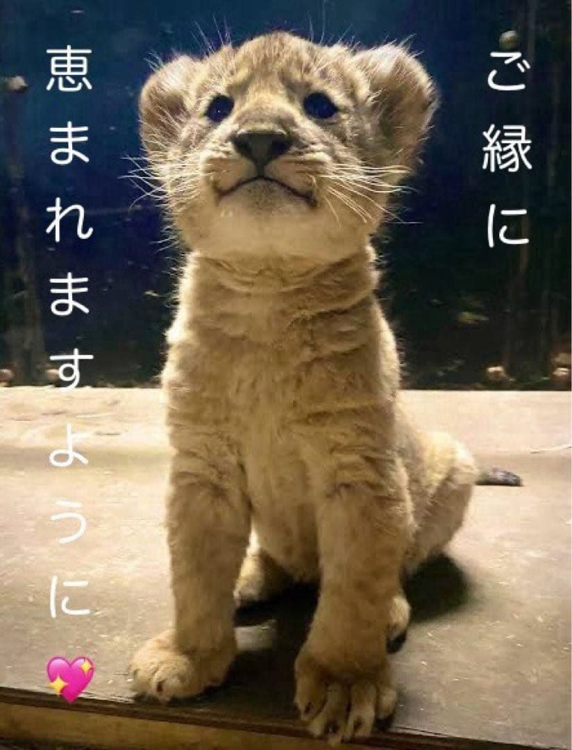 遊戯王OCG QUARTER CENTURY DUELIST