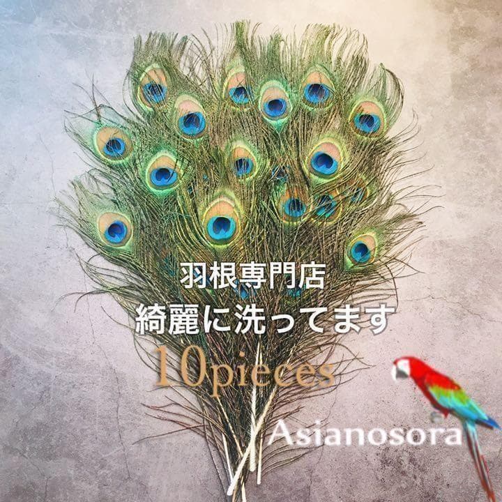 100枚■【クジャク 】孔雀の羽根 目玉 パーツ 鳥 羽根 素材