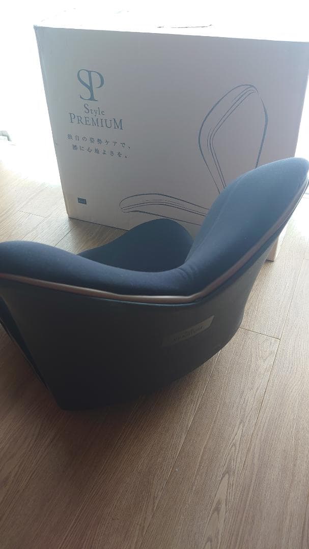 Style PREMIUM スタイルプレミアム 骨盤矯正クッション