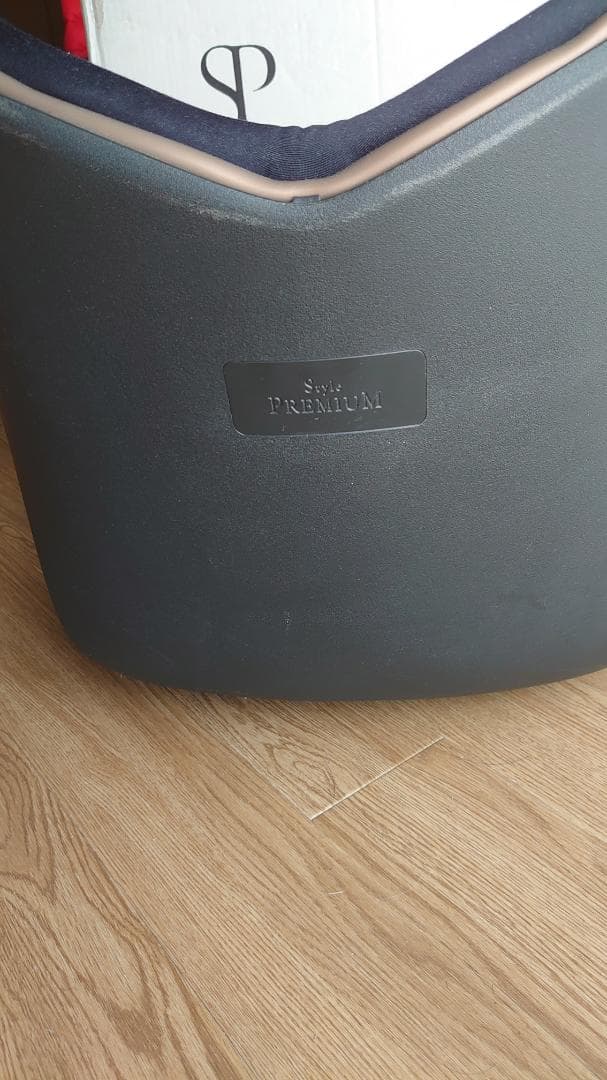 Style PREMIUM スタイルプレミアム 骨盤矯正クッション