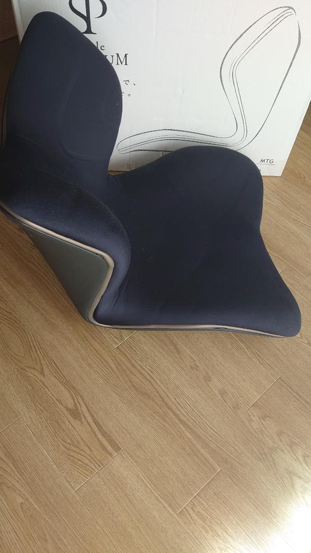 Style PREMIUM スタイルプレミアム 骨盤矯正クッション