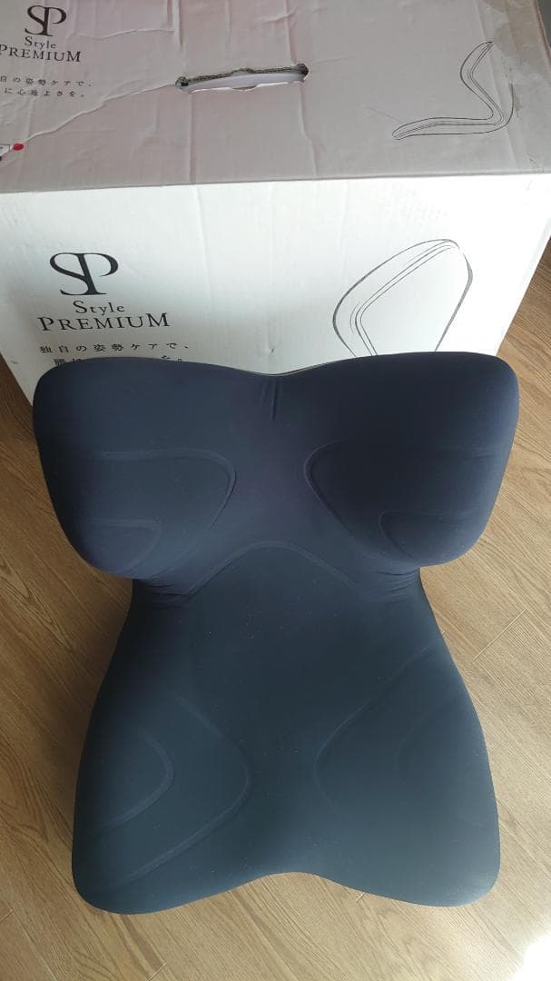 Style PREMIUM スタイルプレミアム 骨盤矯正クッション