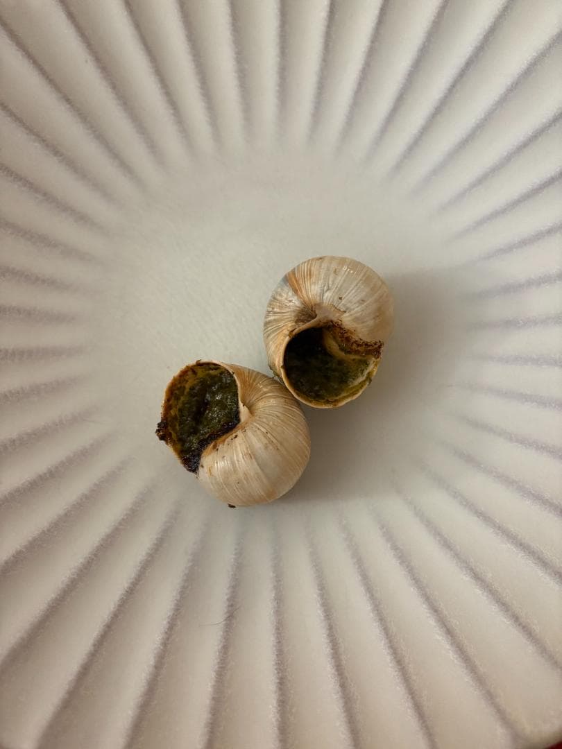 【新品】白峰園 手造り深皿 2枚セット 赤津焼 23.5cm 陶器 オフホワイト