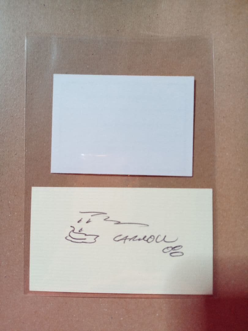 化石　標本　三葉虫　ファコプス　USA　美麗