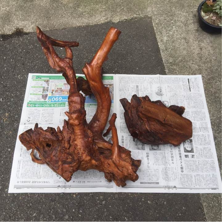 木株の置物  天然木のオブジェ