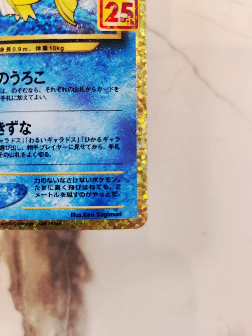 《極美品》ひかるコイキング 25th ANNIVERSARY プロモ 25周年