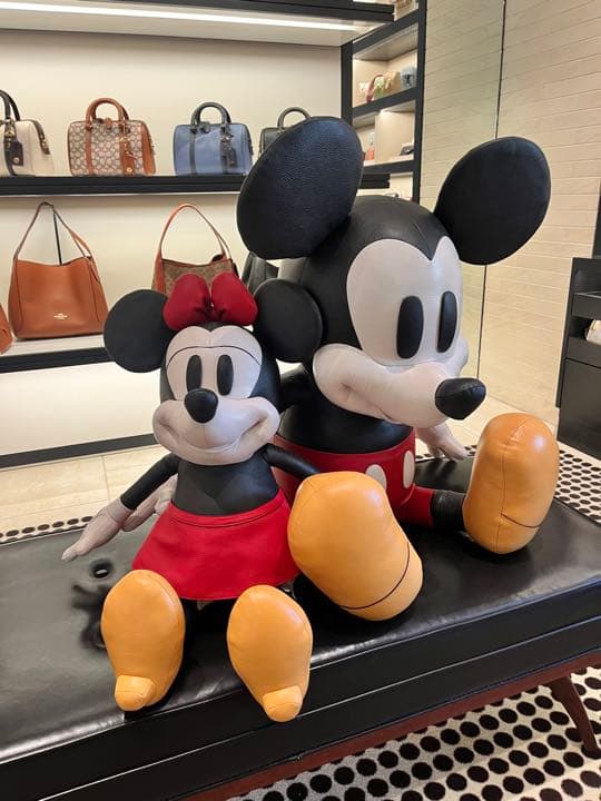 DISNEY x COACHコラボミニー