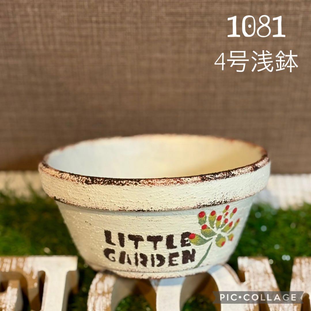 リメ鉢<1081 4号浅鉢 乙女心 底穴大きめ 多肉植物 - メルカリ