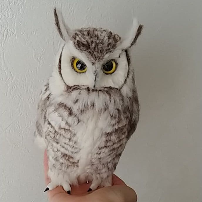 マックス26さまご専用のページ ホワイトアメリカワシミミズク