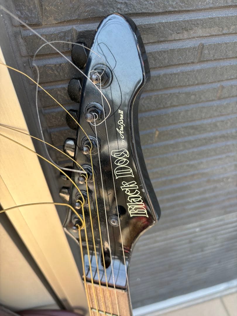 Black Dog by Aria pro Ⅱ