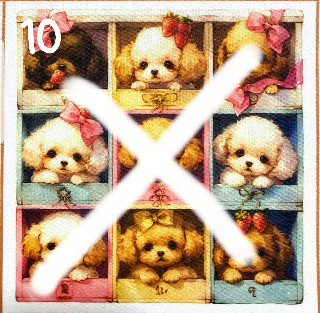 オーダー受付 クローゼット トイプードル ご予約ページ 5/7