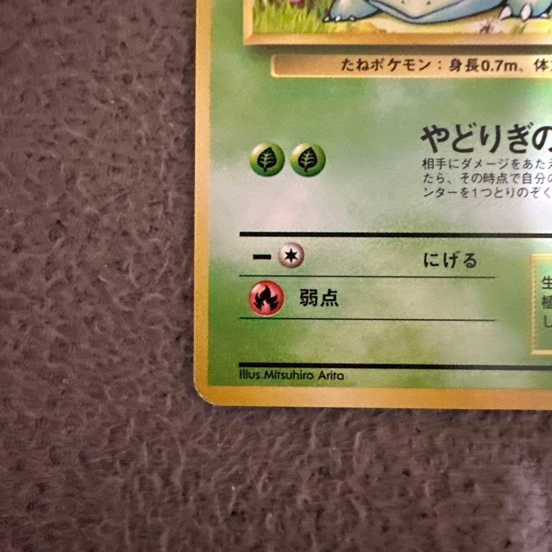 ポケモンカード 旧裏 初版 フシギダネ LV.13 HP40 草タイプ - メルカリ