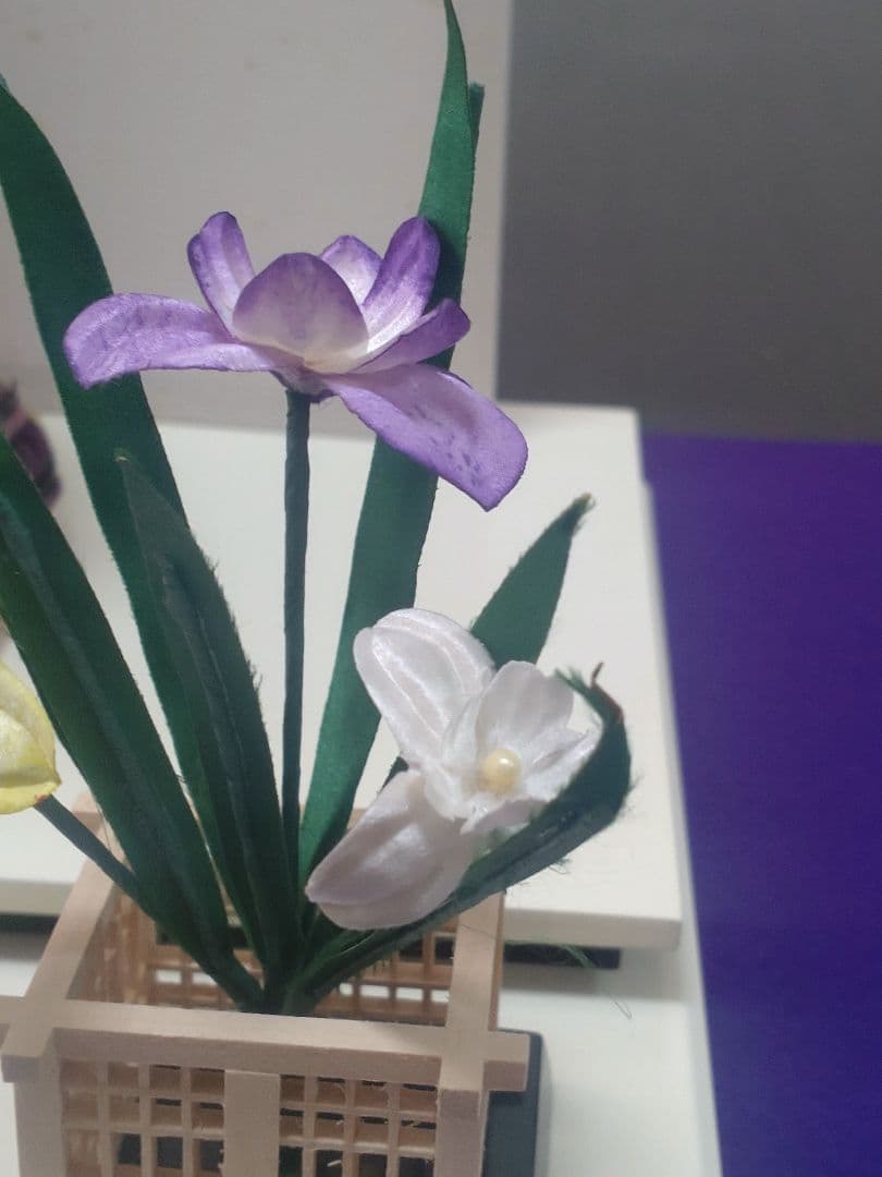 【雛蔵】かがやき　奉納鎧