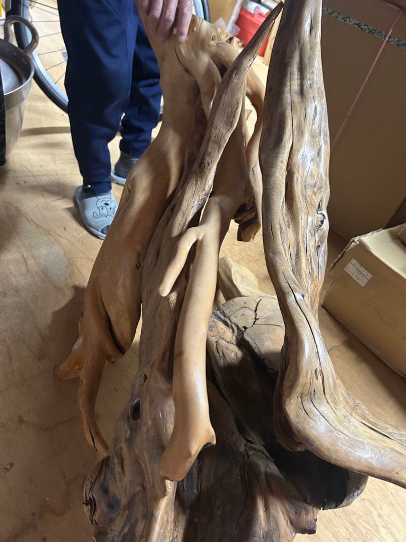 木 出土品 珍品 アンティーク