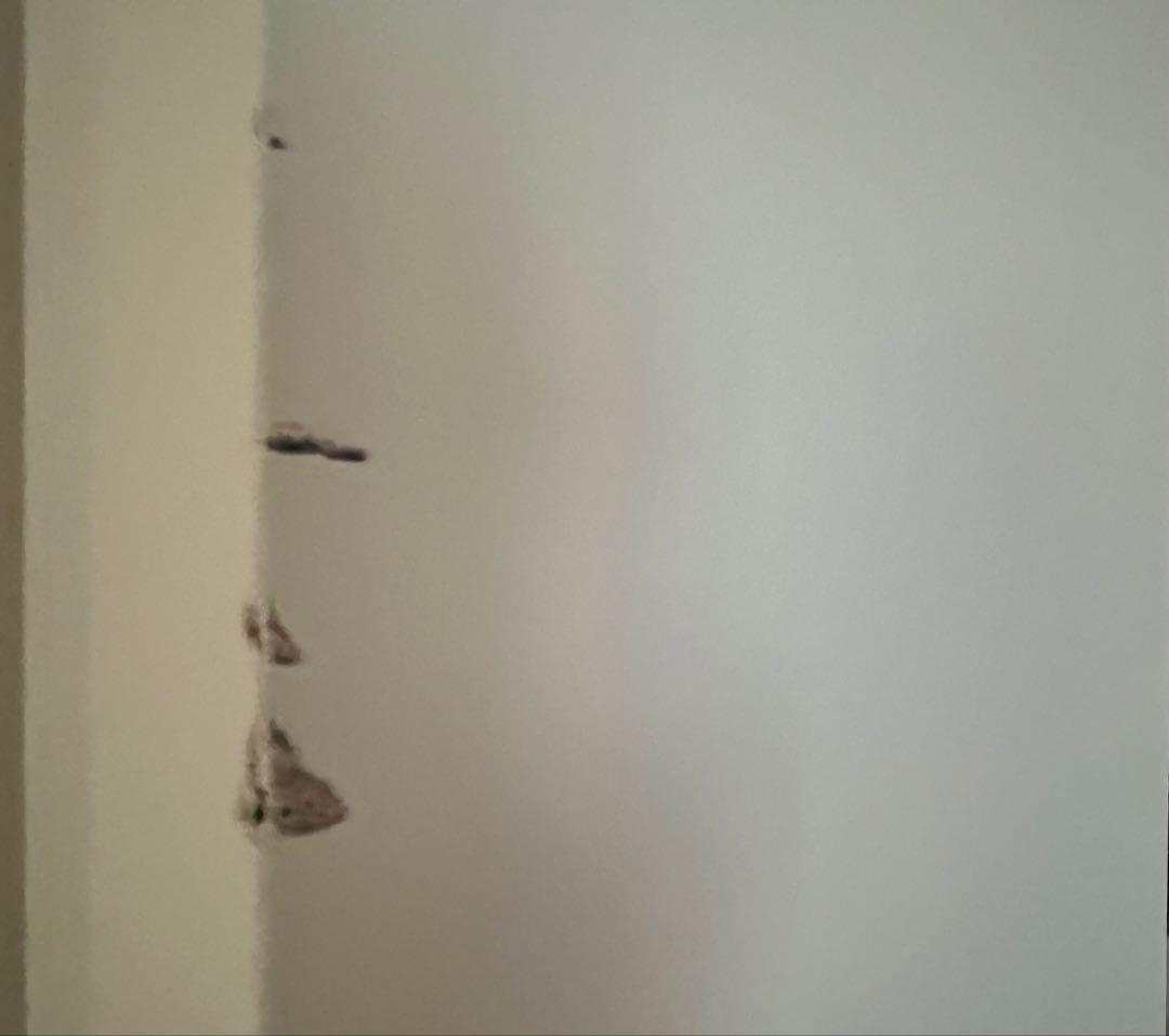 【１枚訳あり】Panasonic ベリティス　ホワイト　クローゼット 建具 折戸