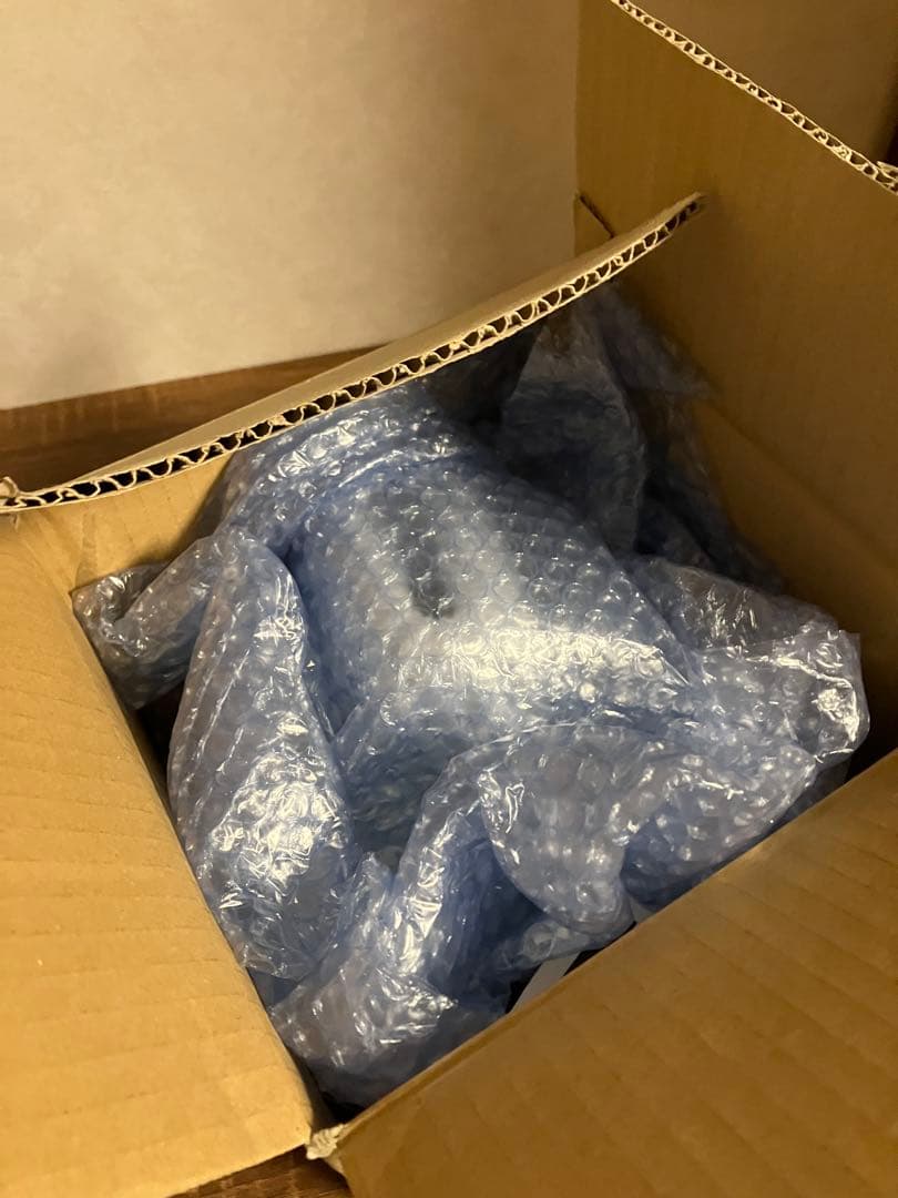 ODELIC オーデリック ペンダントライト OP252653LR