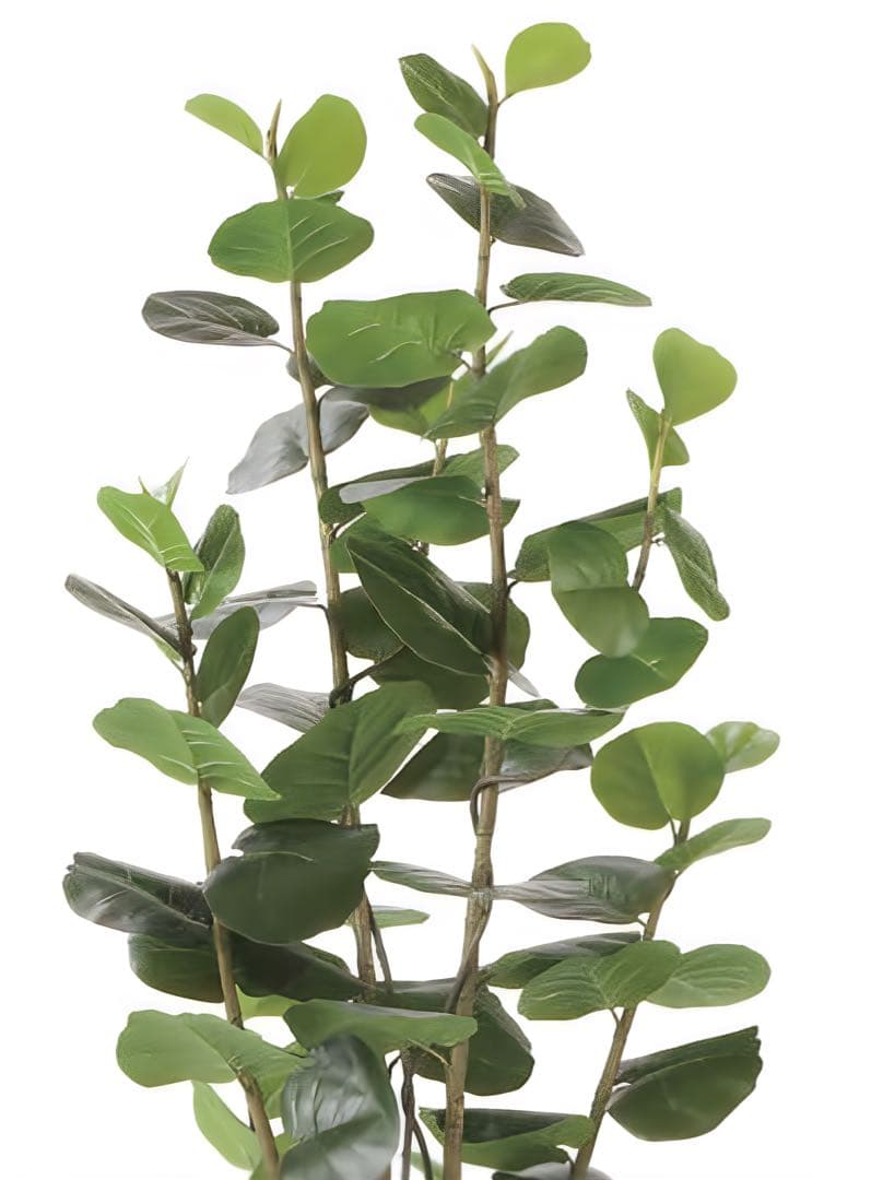 光触媒　人工観葉植物　フェイクグリーン　シーグレープDX 1.7m