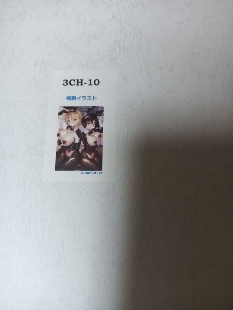 三色網戸展　艶色青春　高精彩複製原画　イラスト　A3