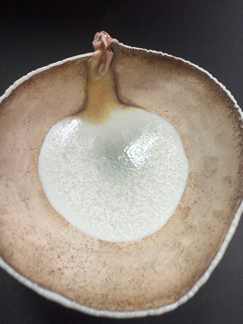 川端健太郎　盃　共箱、共布