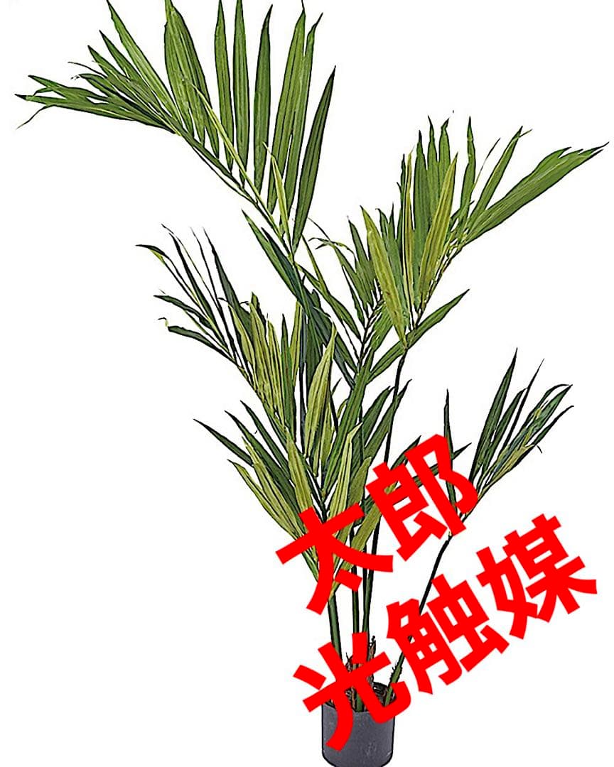 光触媒　人工観葉植物　ウォールグリーン　フェイクフラワー　ケンチャヤシgp