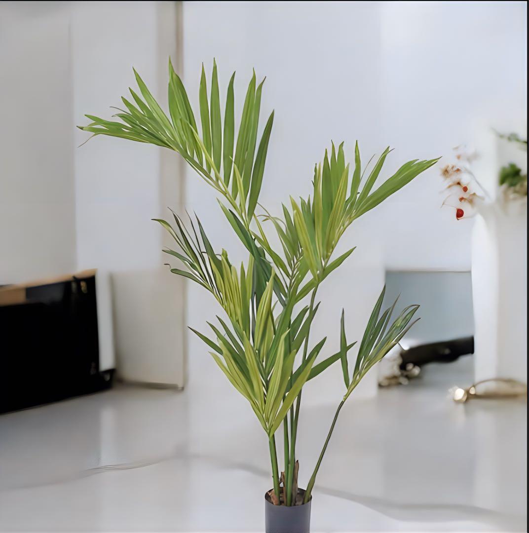 光触媒　人工観葉植物　ウォールグリーン　フェイクフラワー　ケンチャヤシgp