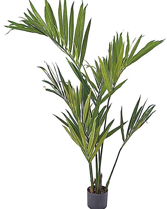 光触媒　人工観葉植物　ウォールグリーン　フェイクフラワー　ケンチャヤシgp