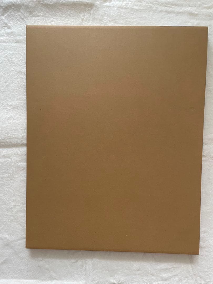 ジョルノ・ジョバァーナ JOJO展 高級複製原画 黄金の風 荒木飛呂彦原画展