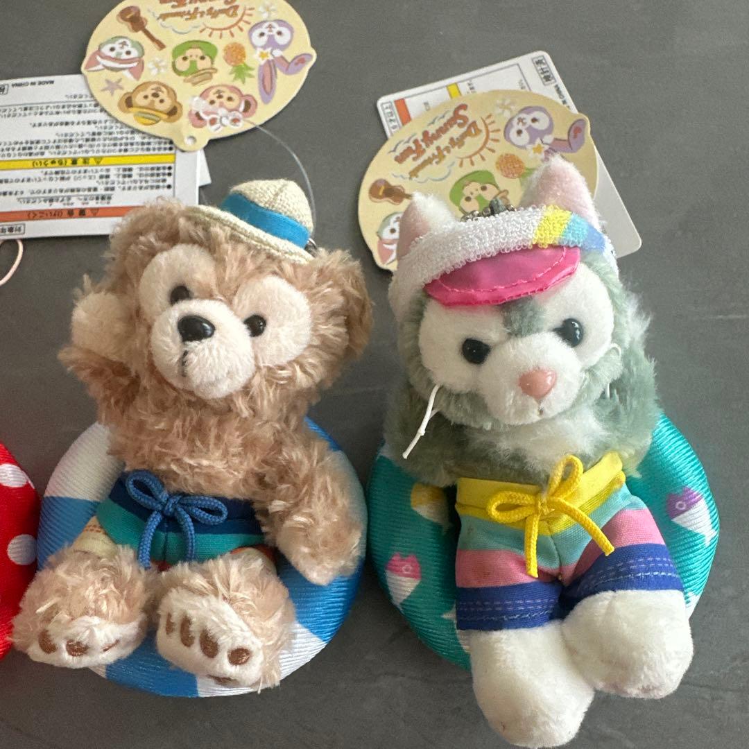 新品タグ付 東京ディズニーシー Summer fun キーチェーンセット 浮き輪