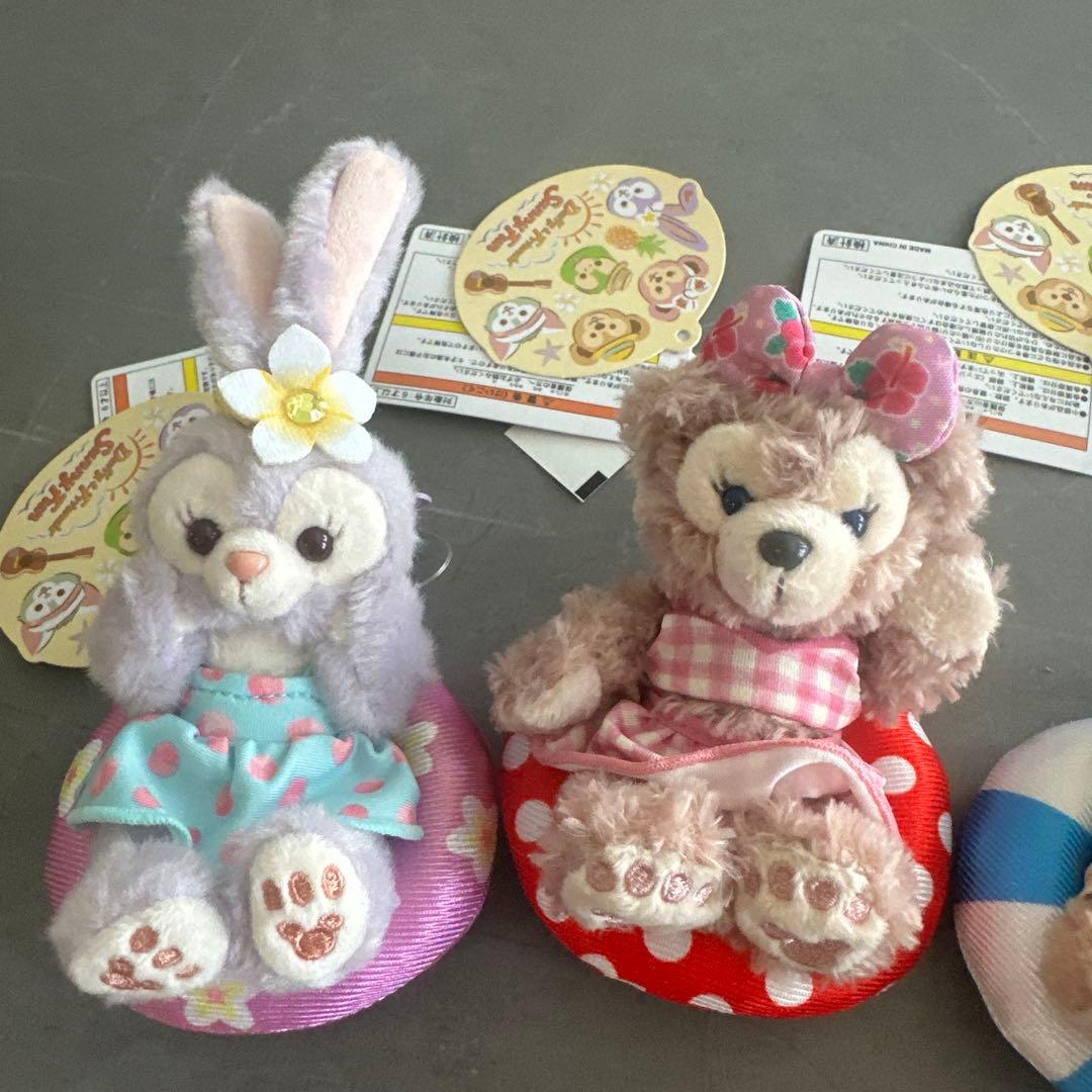 新品タグ付 東京ディズニーシー Summer fun キーチェーンセット 浮き輪