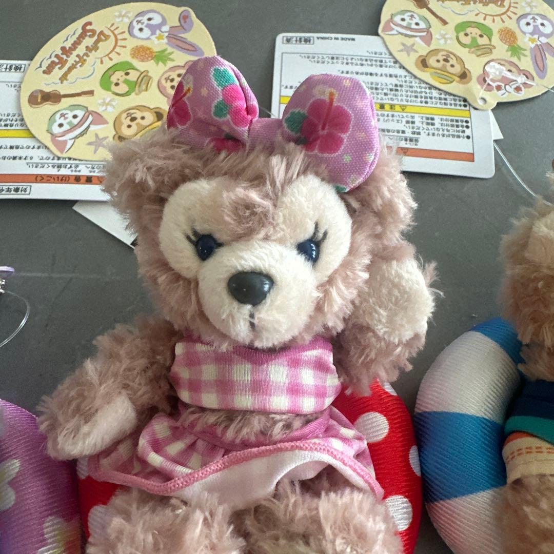 新品タグ付 東京ディズニーシー Summer fun キーチェーンセット 浮き輪