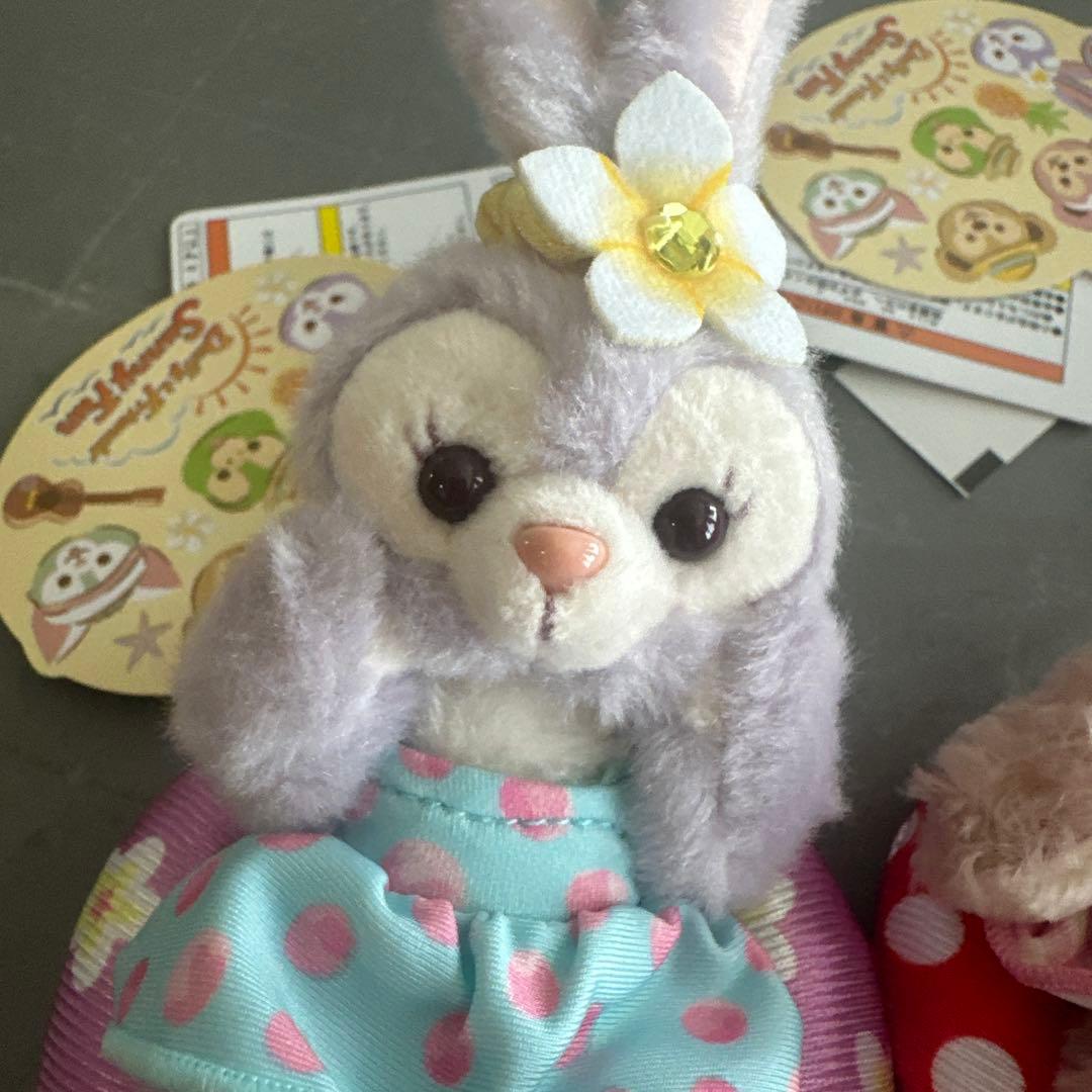 新品タグ付 東京ディズニーシー Summer fun キーチェーンセット 浮き輪